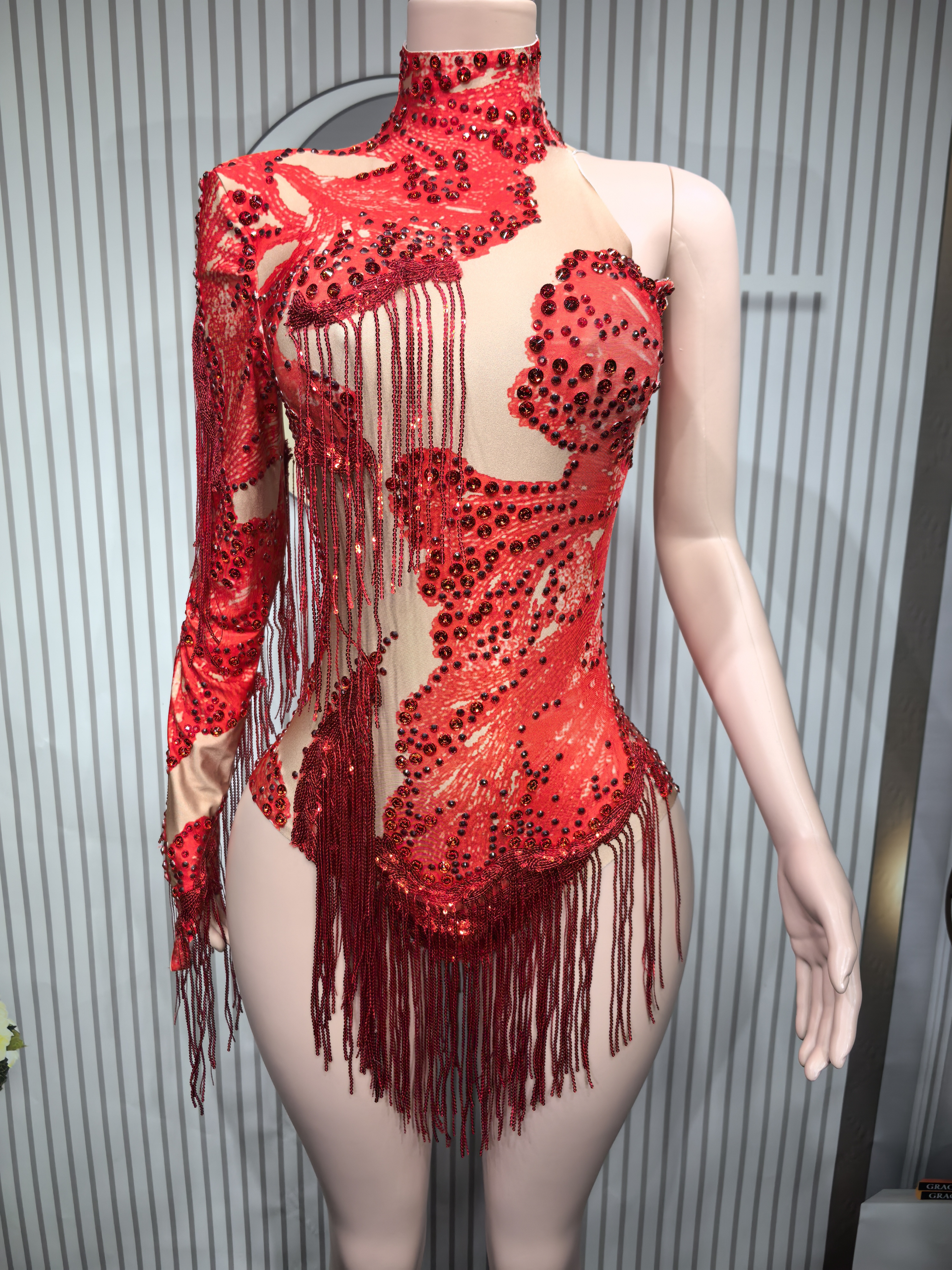 Sexy Skinny Leotard Singer Dan - Rhinestone Banding Trim recensie en prijs