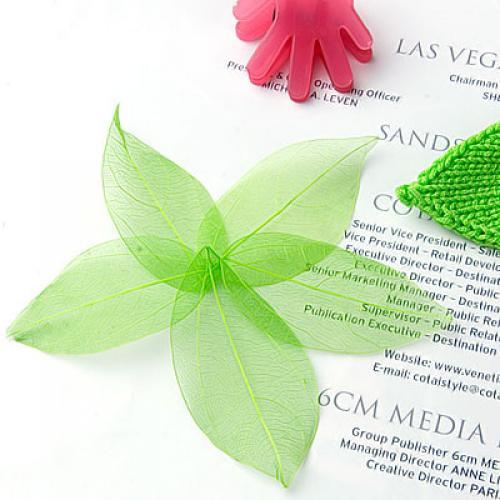 Natural Catbrier Skeleton Leav - Embellishments For Scrapbooking recensie en prijs
