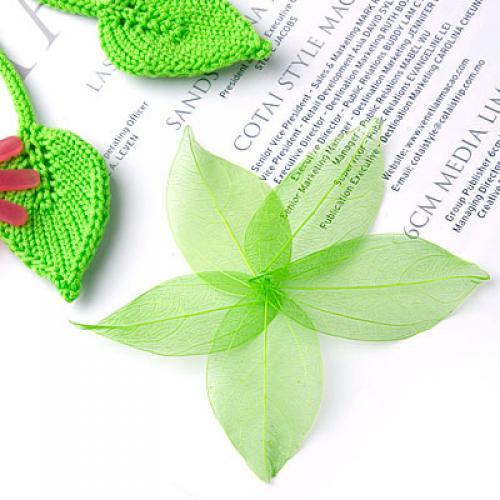 Natural Catbrier Skeleton Leav - Embellishments For Scrapbooking recensie en prijs