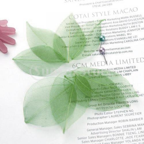 Natural Catbrier Skeleton Leav - Embellishments For Scrapbooking recensie en prijs