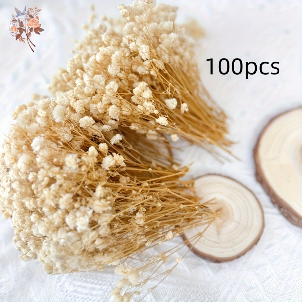 100pcs Mini Dried Baby's Breat - Embellishment Crafts recensie en prijs