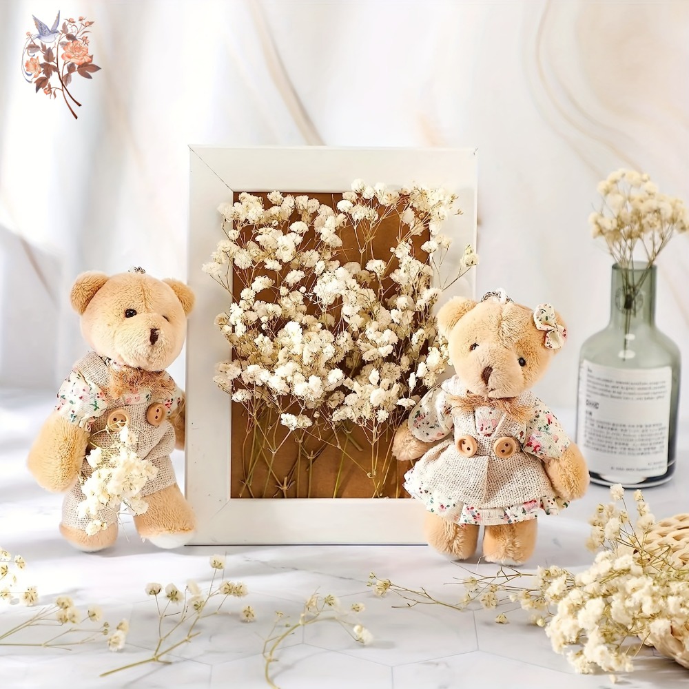 100pcs Mini Dried Baby's Breat - Embellishment Crafts recensie en prijs